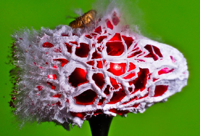 Уничтожение вещей