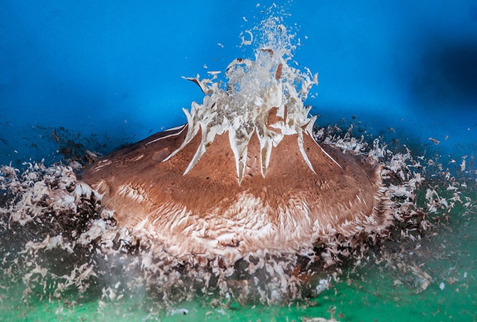 Уничтожение вещей