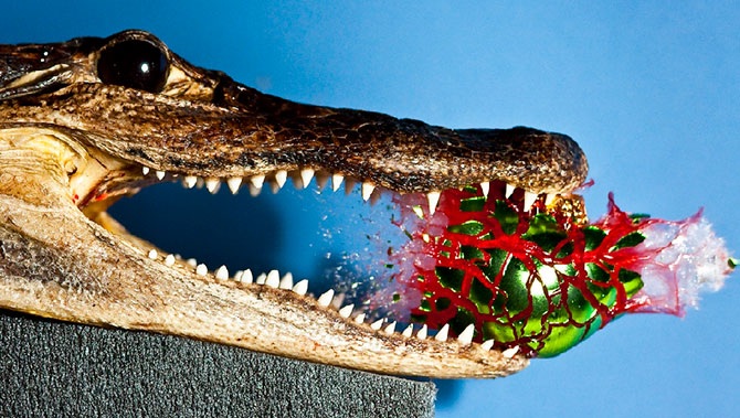 Уничтожение вещей