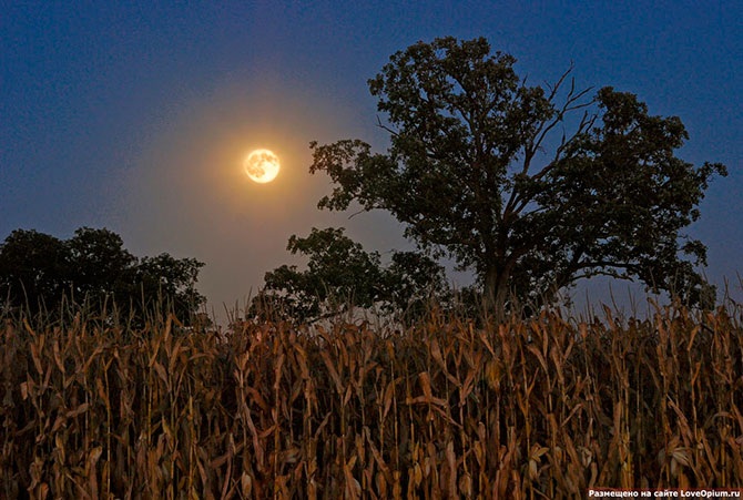 Другая сторона Луны