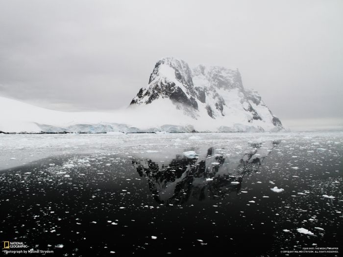 Лучшие фотографии от National Geographic за ноябрь 2012 (46 фото)