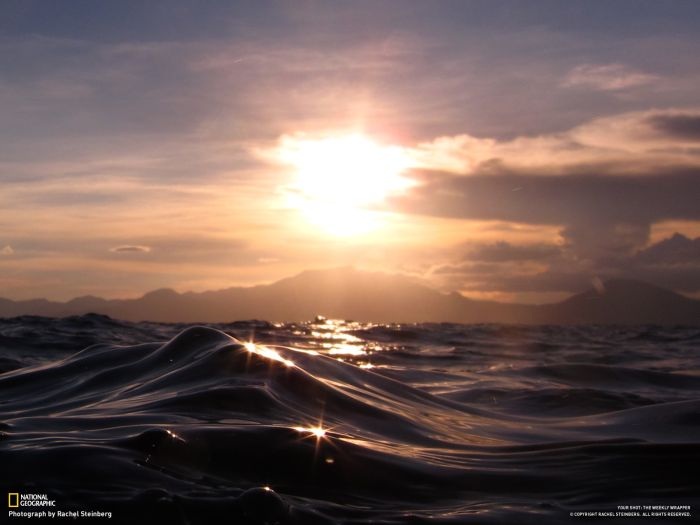 Лучшие фотографии от National Geographic за ноябрь 2012 (46 фото)