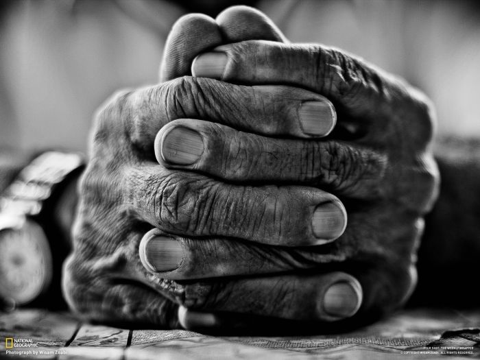 Лучшие фотографии от National Geographic за ноябрь 2012 (46 фото)