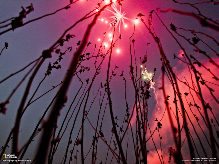 Лучшие фотографии от National Geographic за ноябрь 2012 (46 фото)