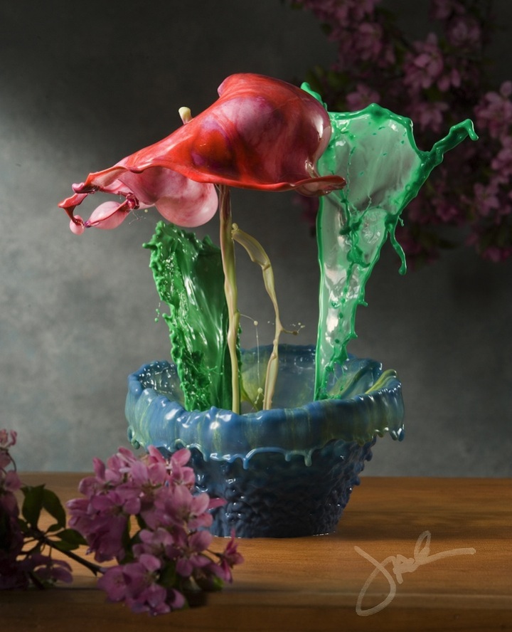 Жидкие комнатные цветы