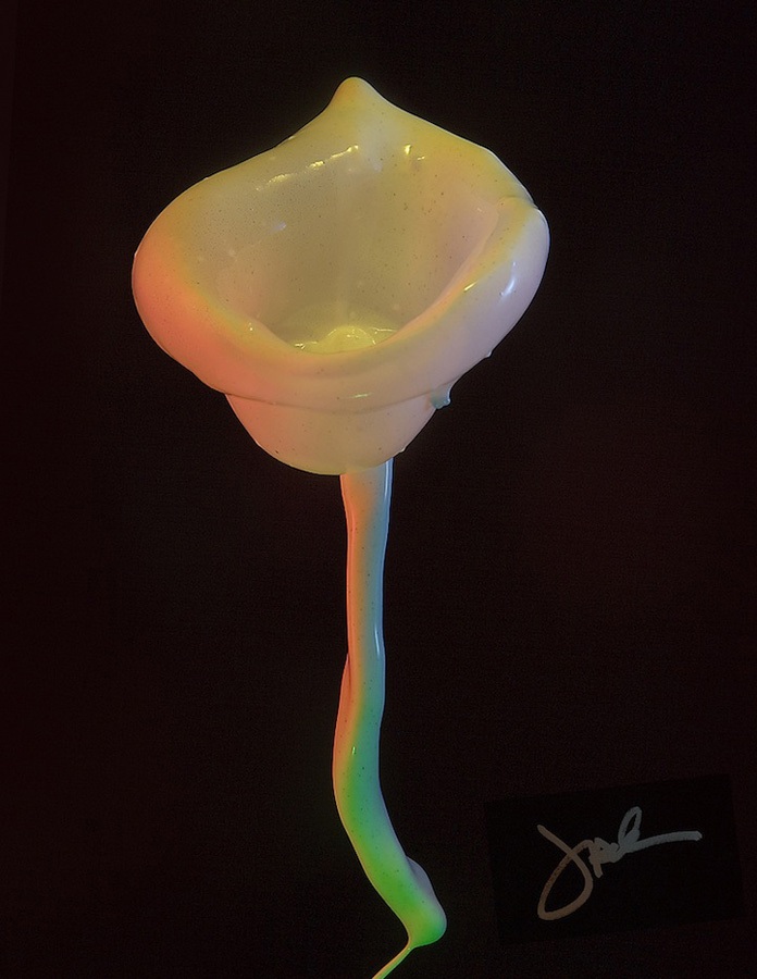 Жидкие комнатные цветы