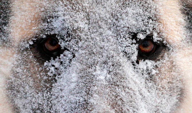 Снежный декабрь