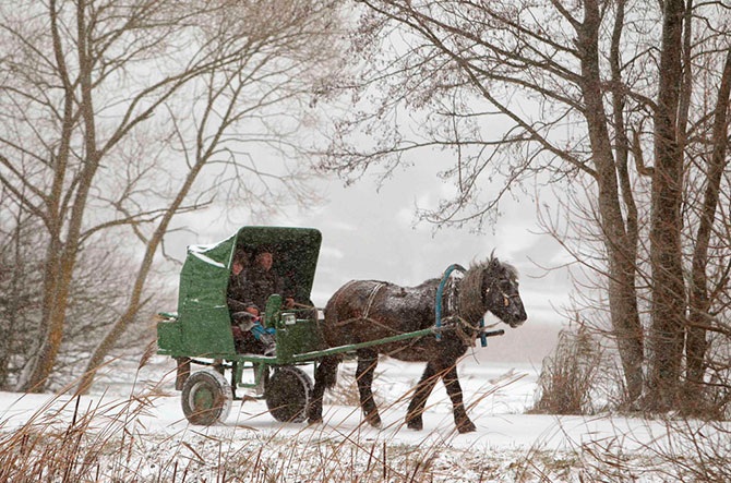 Снежный декабрь