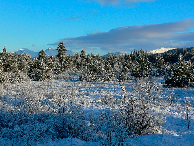 Национальный парк Глейшер Бей на Аляске