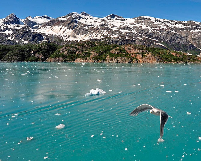Национальный парк Глейшер Бей на Аляске