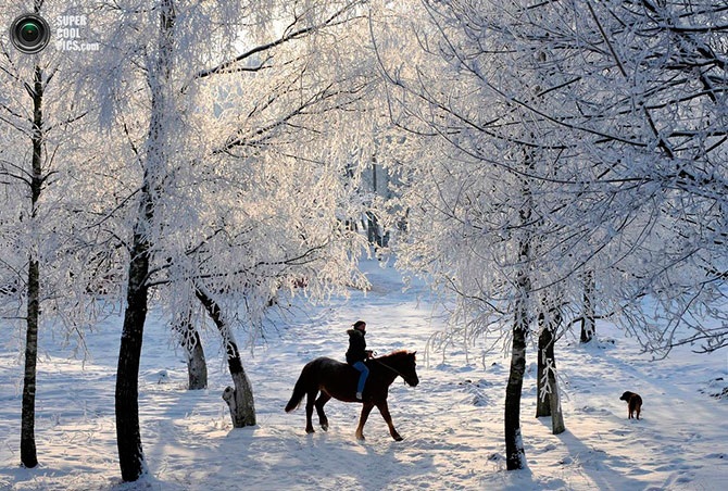 Красота зимы