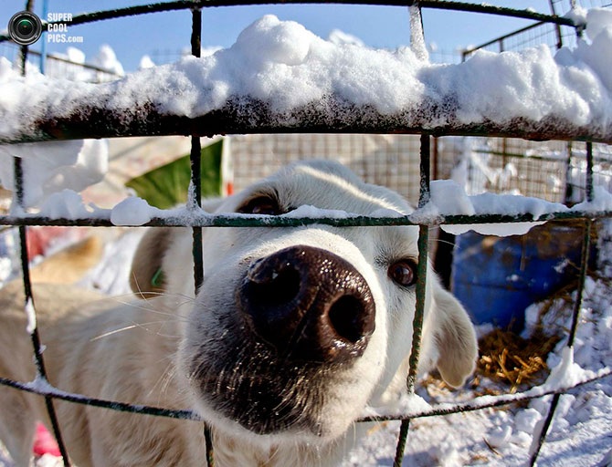 Красота зимы