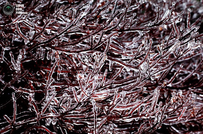 Красота зимы