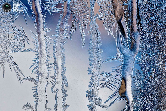 Красота зимы