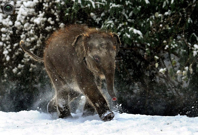 Красота зимы