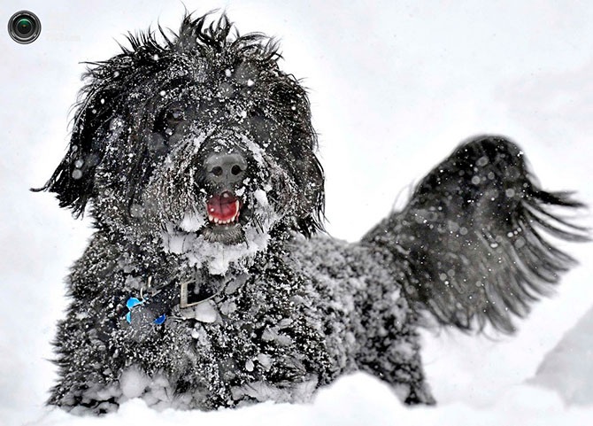 Красота зимы