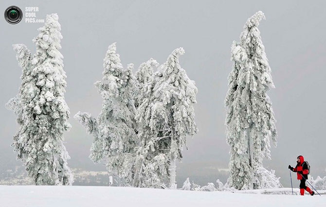 Красота зимы