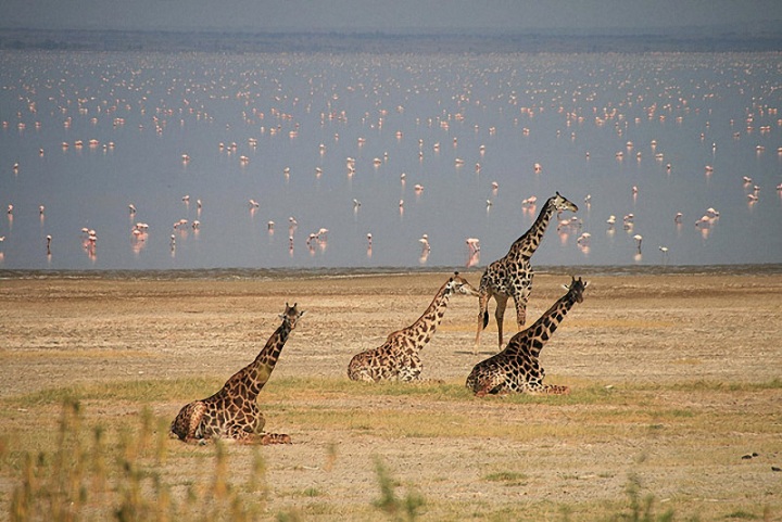 Достопримечательности Танзании
