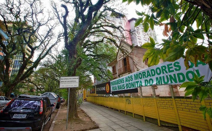 Удивительная улица Руа Гонсалу де Карвальо