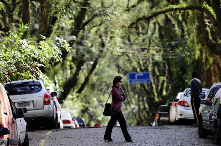Удивительная улица Руа Гонсалу де Карвальо