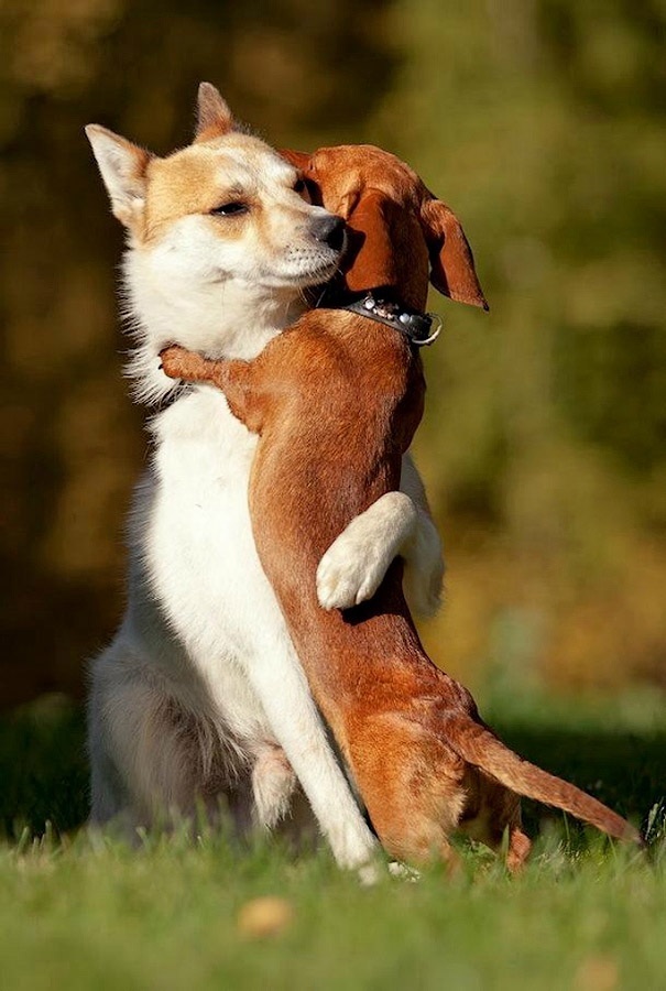 20 марта впервые отмечается Международный день счастья