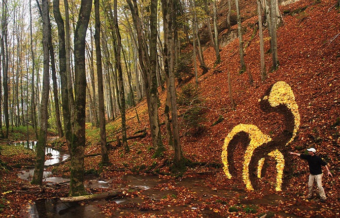 25 лучших работ в жанре лэнд-арт