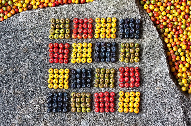 25 лучших работ в жанре лэнд-арт