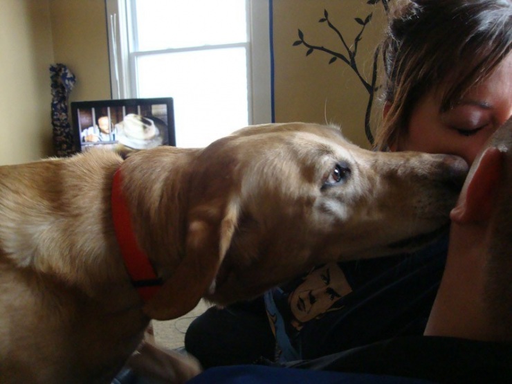 20 не самых удачных поцелуев