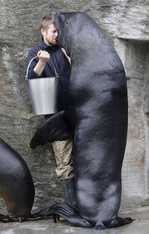 20 не самых удачных поцелуев