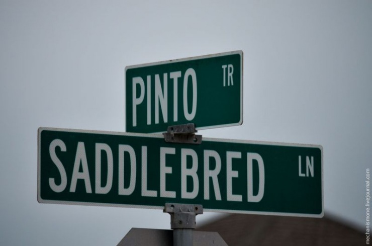 Как устроен спальный район США (25 фото)