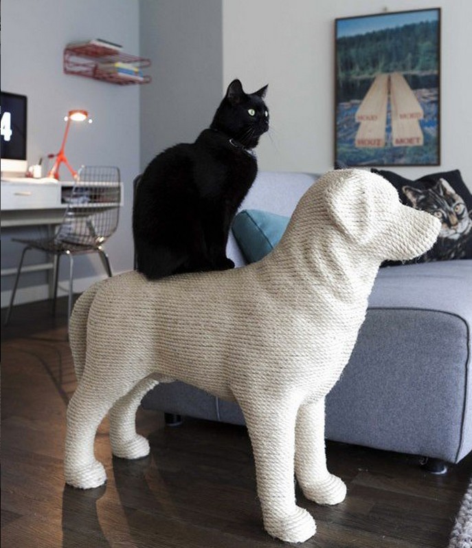 Дизайн для котов