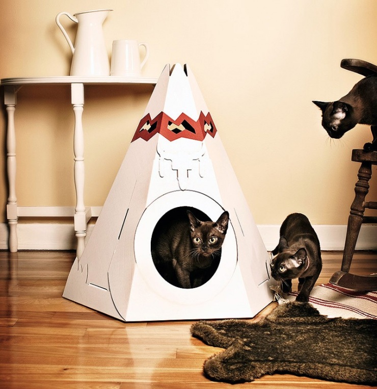 Дизайн для котов