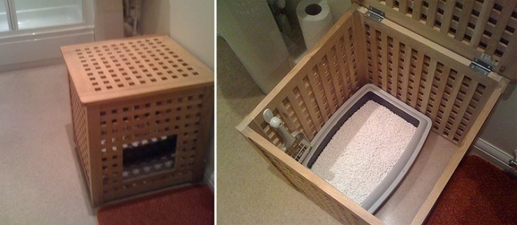 Дизайн для котов