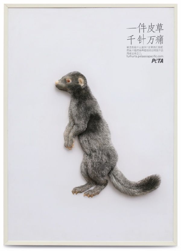 Дизайн, признанные лучшим в мире (33 фото)