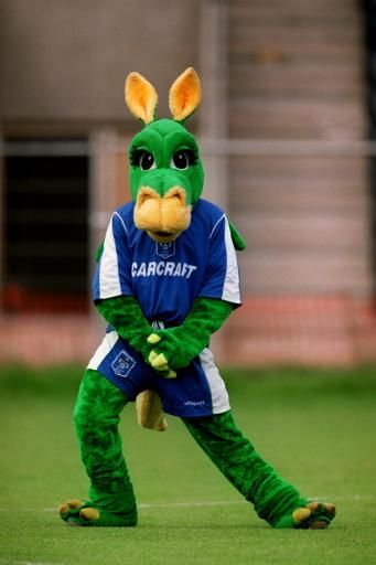 Самые необычные талисманы футбольных клубов (18 фото)