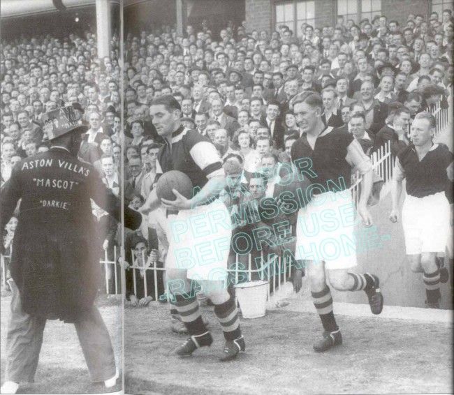 Самые необычные талисманы футбольных клубов (18 фото)