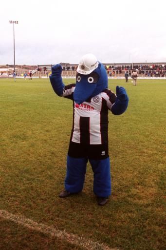 Самые необычные талисманы футбольных клубов (18 фото)