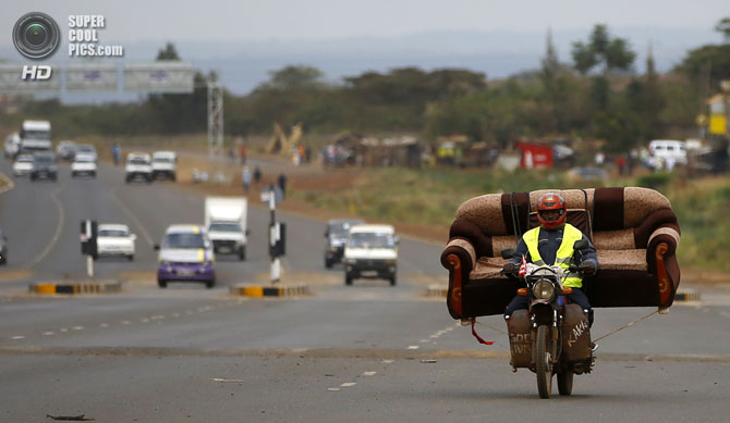 Люди-муравьи, или мастера перевозок