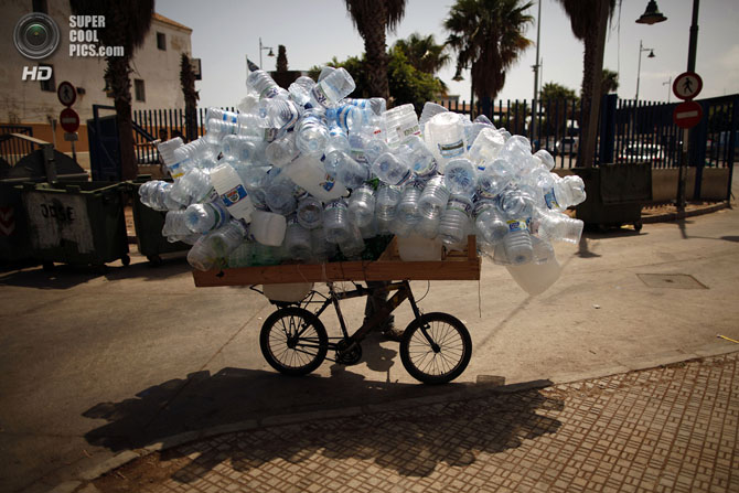 Люди-муравьи, или мастера перевозок