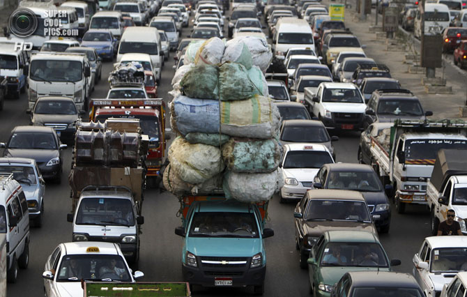 Люди-муравьи, или мастера перевозок