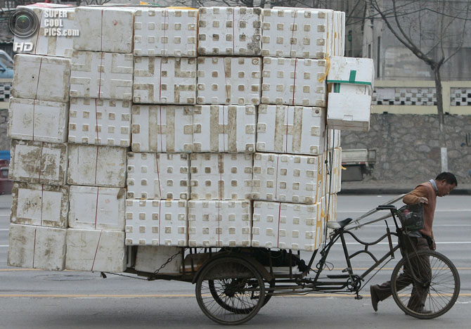Люди-муравьи, или мастера перевозок