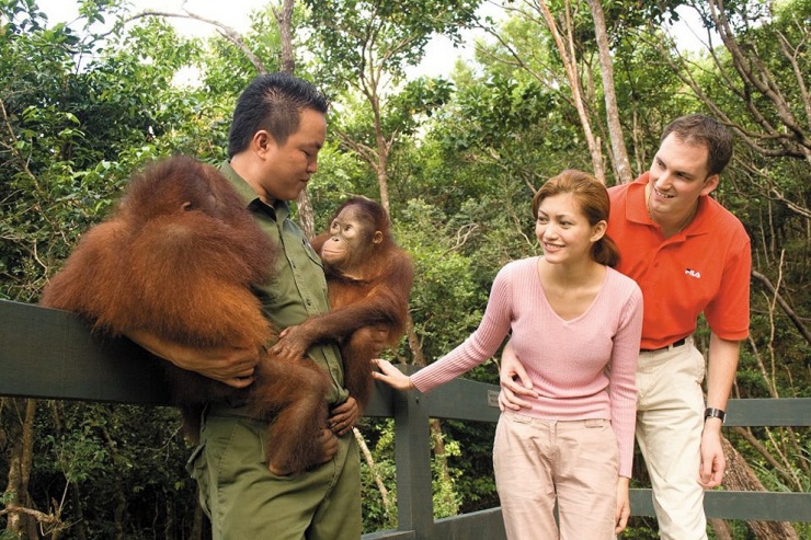 10 отелей с уникальными дополнительными услугами