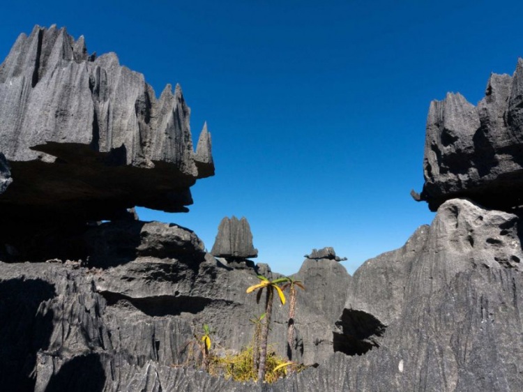 Cамые сюрреалистические места на Земле