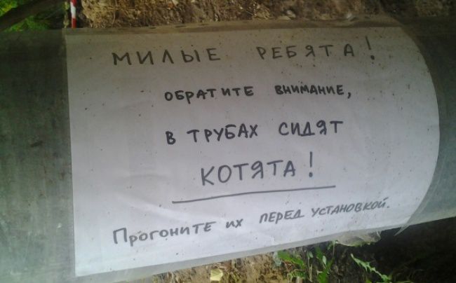 Доброта спасет мир