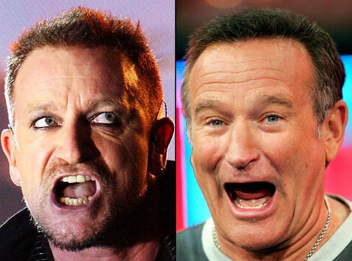 Знаменитости похожие друг на друга