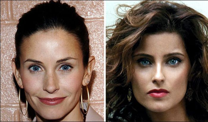 Знаменитости похожие друг на друга