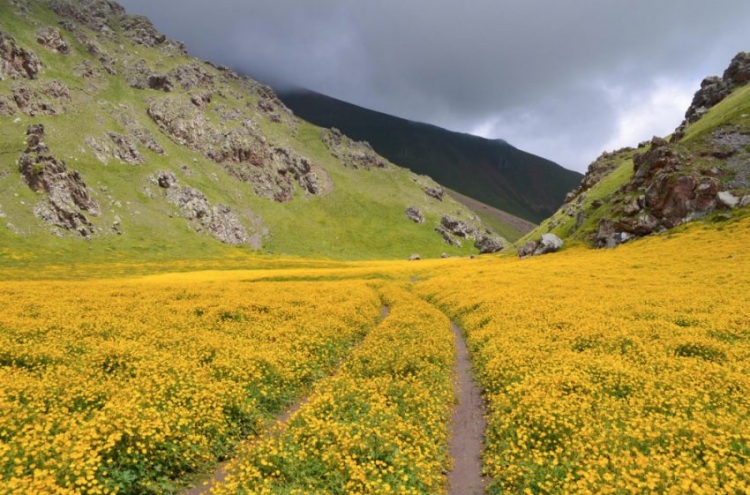 Красоты величественного Кавказа: 20 вдохновляющих снимков