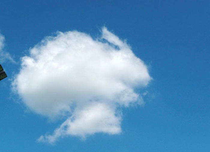 Облака, белогривые лошадки…