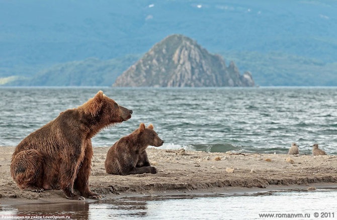 Кратерные озера на Земле