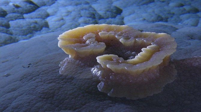 Завораживающая пещера Лечугия